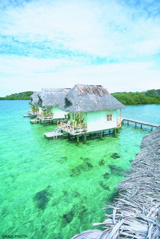 Punta Caracol Acqua Lodge ボカス・タウン エクステリア 写真