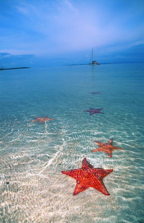 Punta Caracol Acqua Lodge ボカス・タウン エクステリア 写真