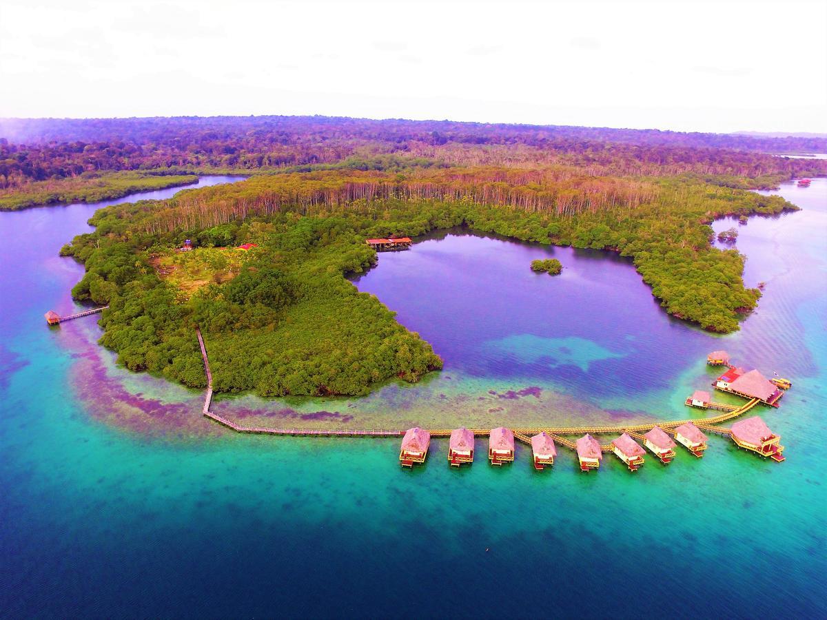 Punta Caracol Acqua Lodge ボカス・タウン エクステリア 写真