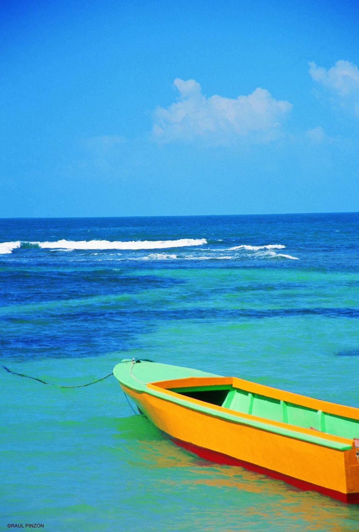 Punta Caracol Acqua Lodge ボカス・タウン エクステリア 写真