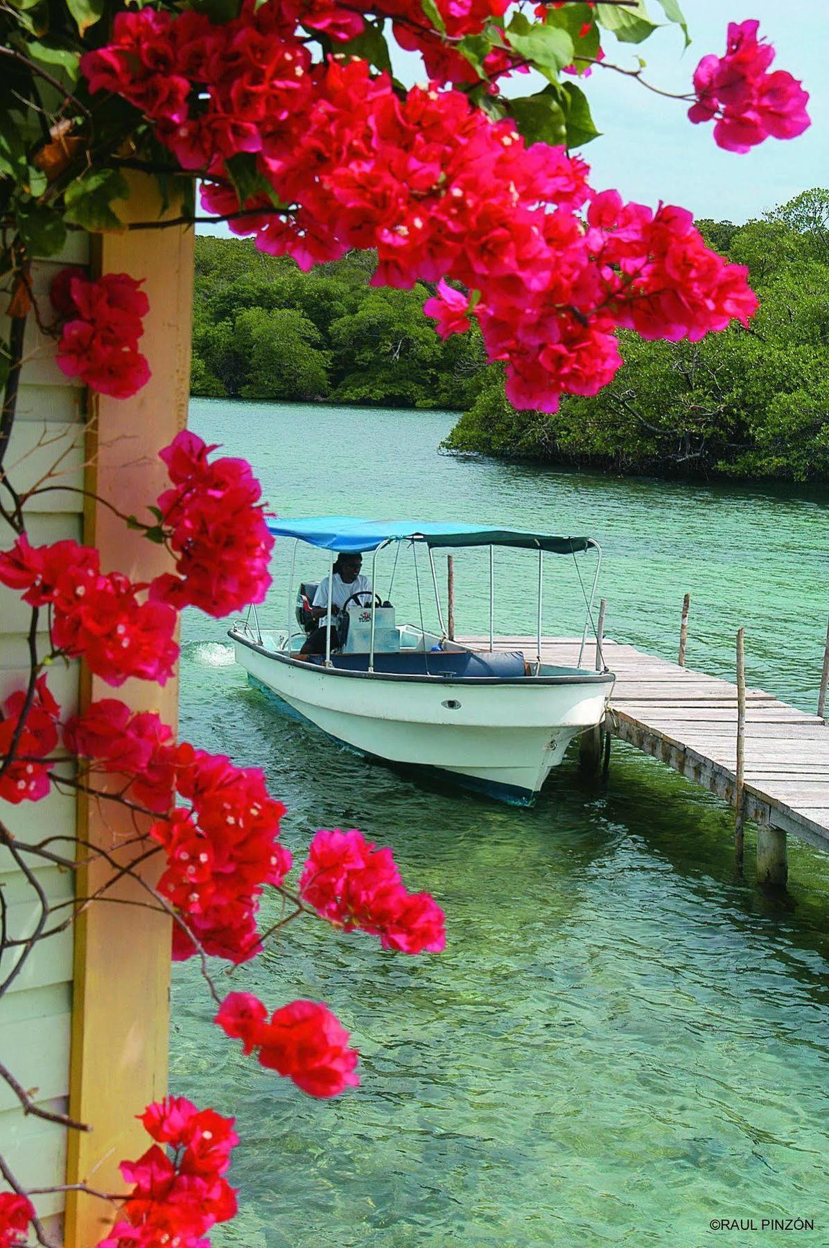 Punta Caracol Acqua Lodge ボカス・タウン エクステリア 写真