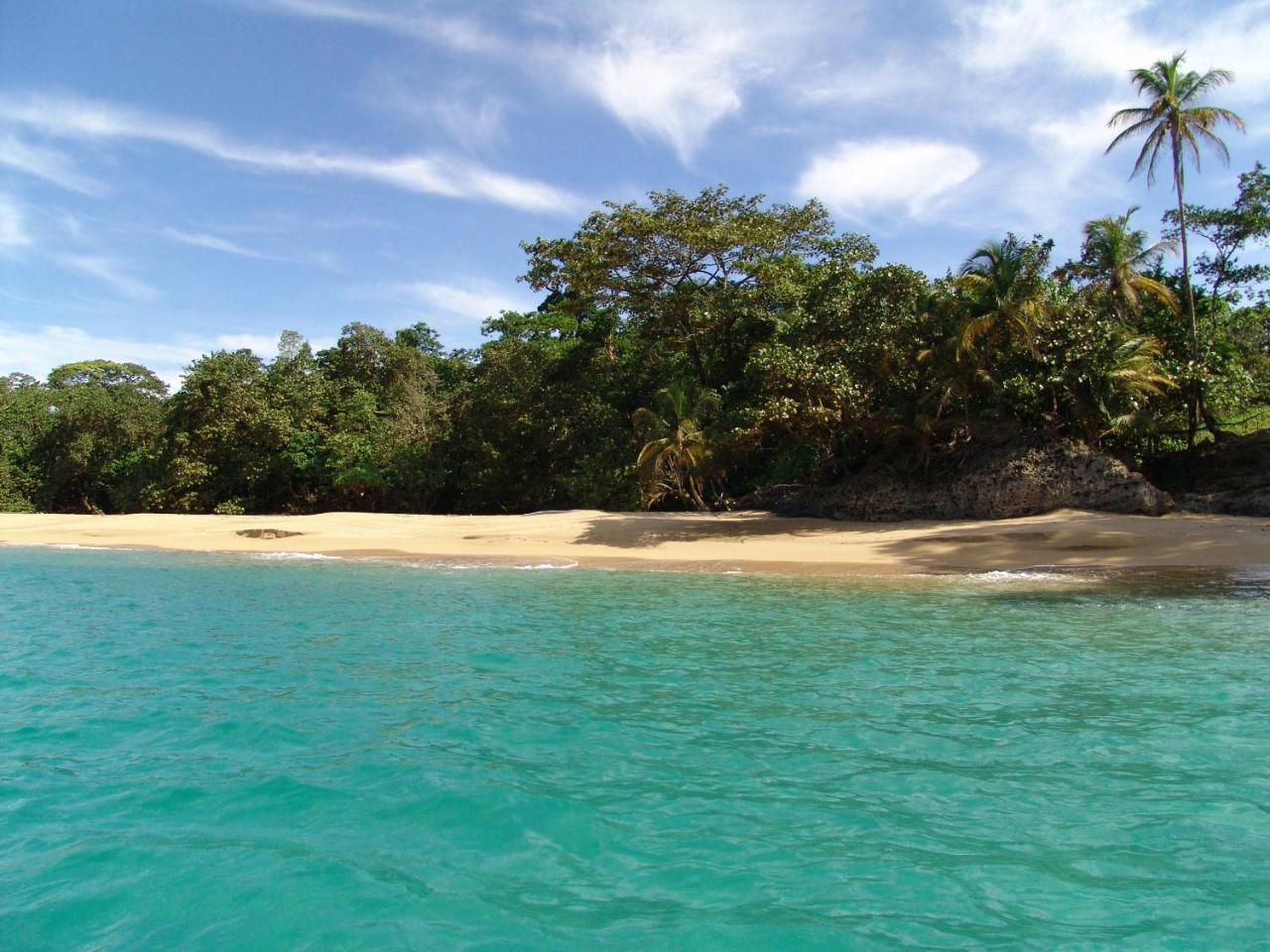 Punta Caracol Acqua Lodge ボカス・タウン エクステリア 写真