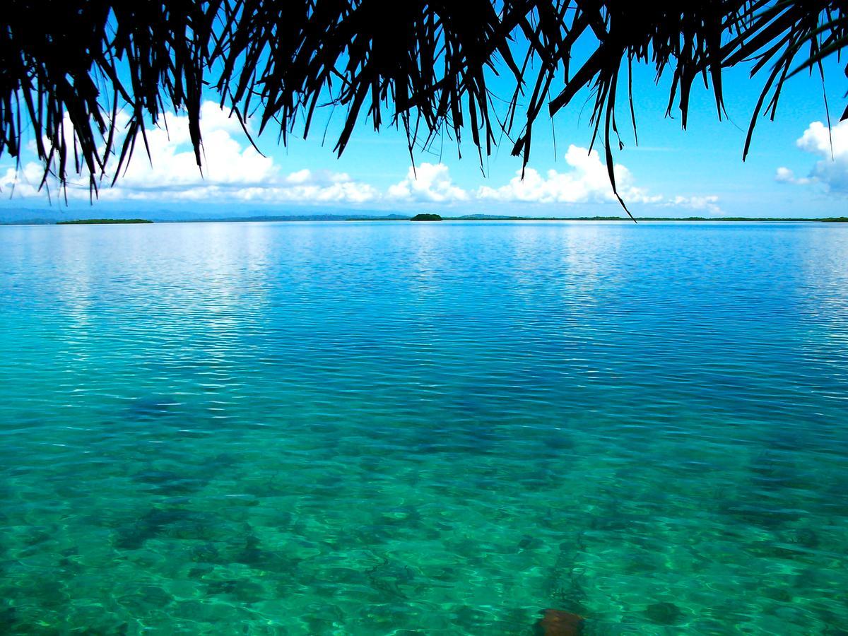 Punta Caracol Acqua Lodge ボカス・タウン エクステリア 写真