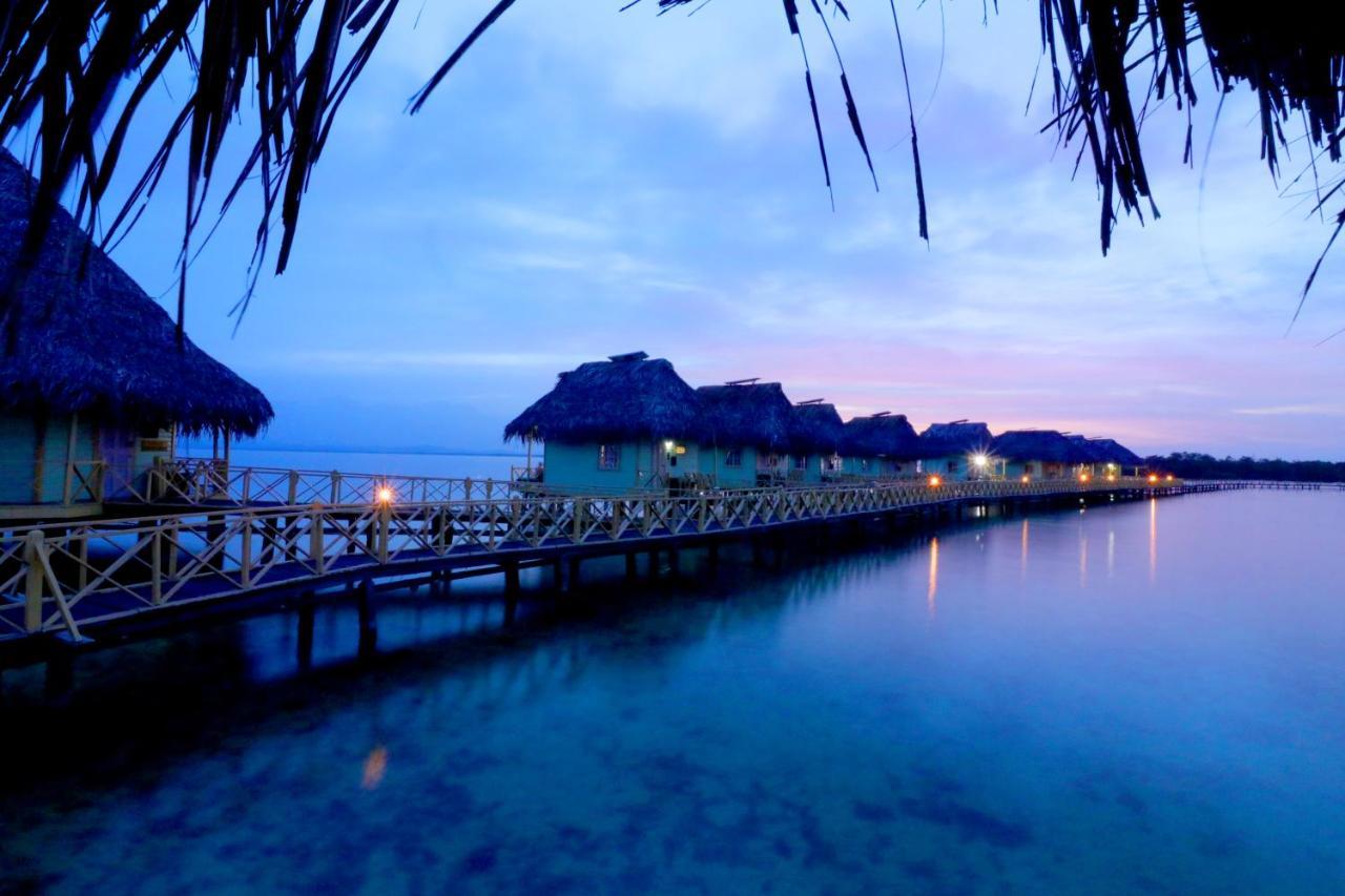 Punta Caracol Acqua Lodge ボカス・タウン エクステリア 写真